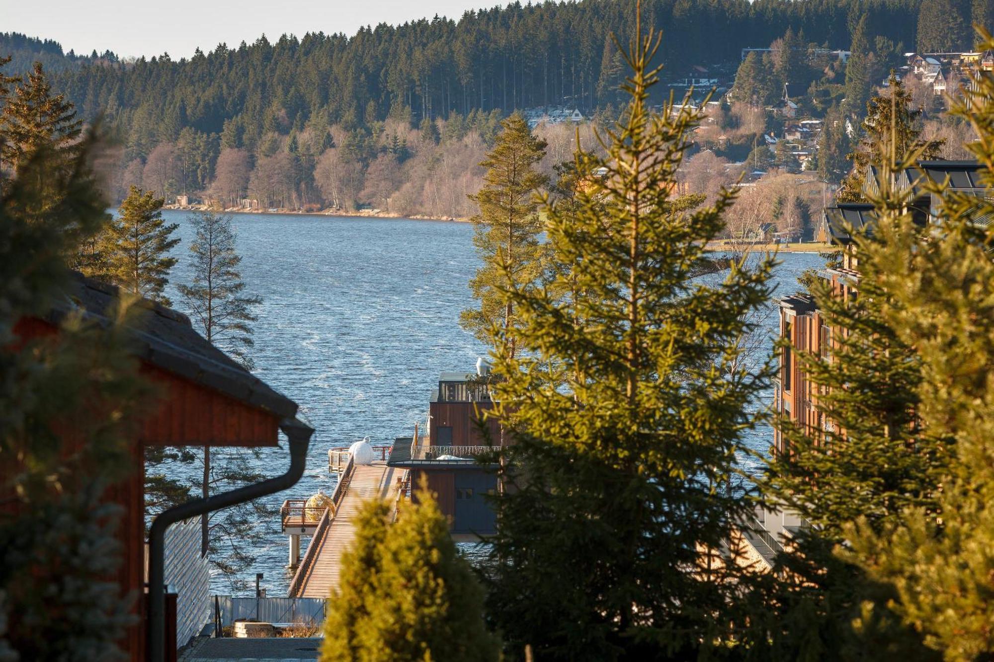 Vila Rozinka Lipno リプノ・ナト・ヴルタヴォウ エクステリア 写真