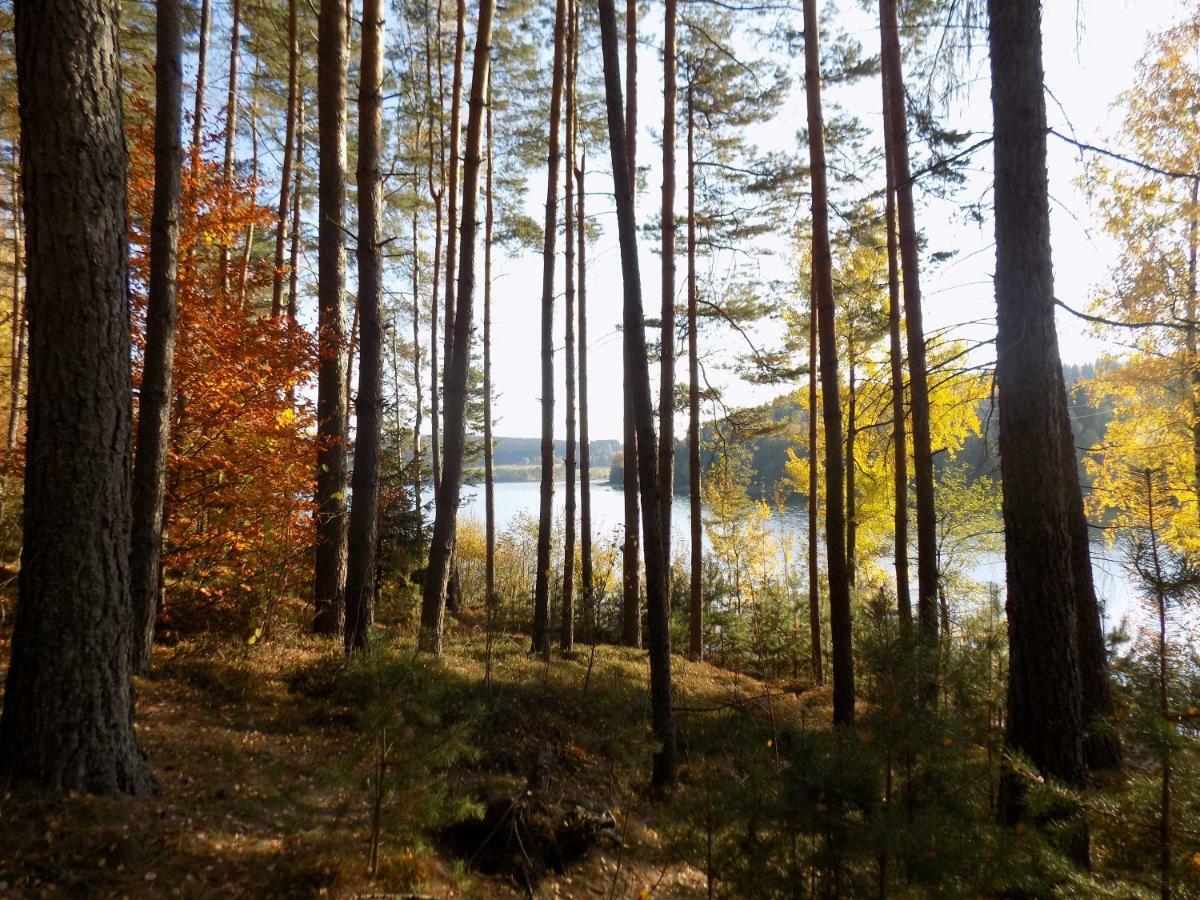 Vila Rozinka Lipno リプノ・ナト・ヴルタヴォウ エクステリア 写真